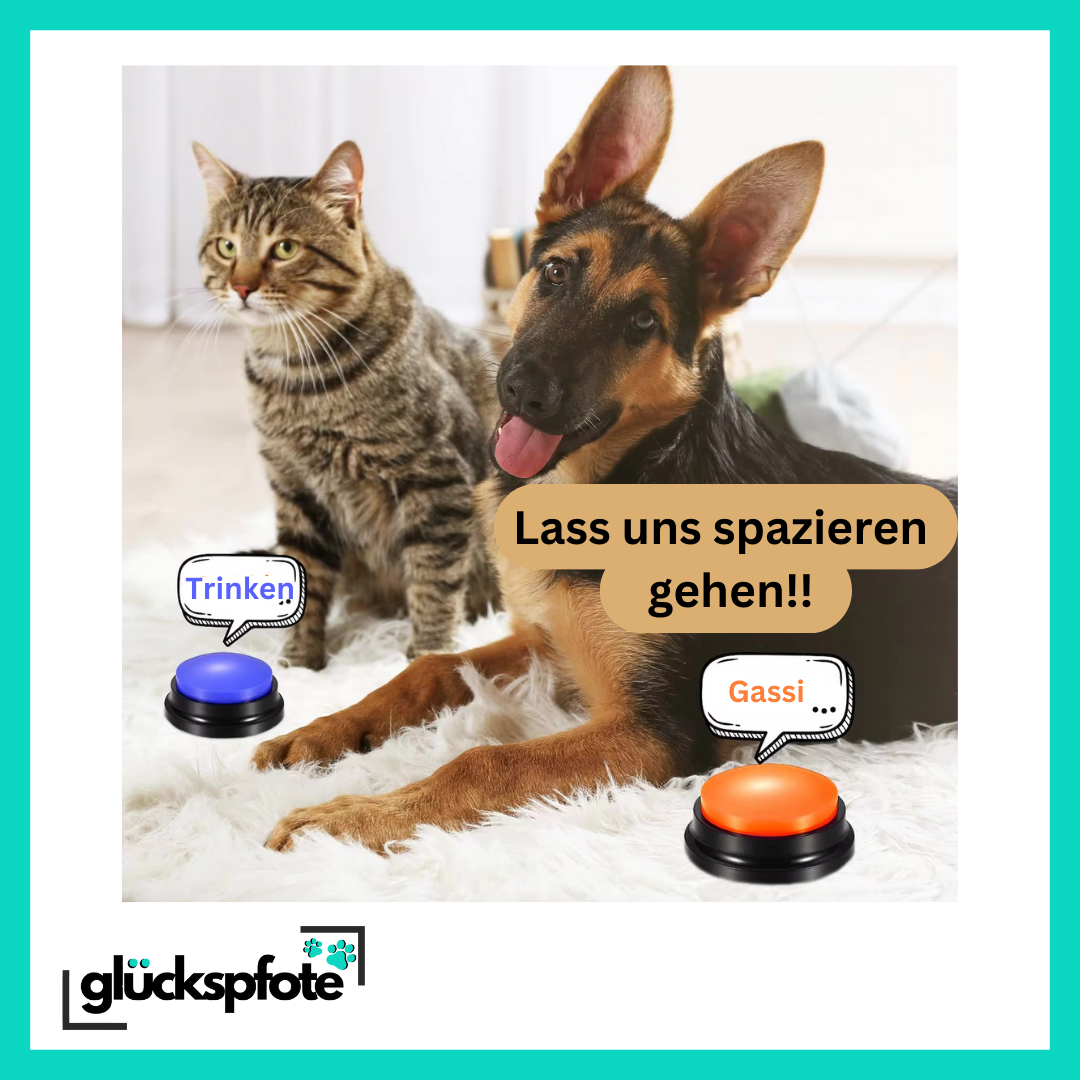 PetTalk FunButton - Taster für Hunde