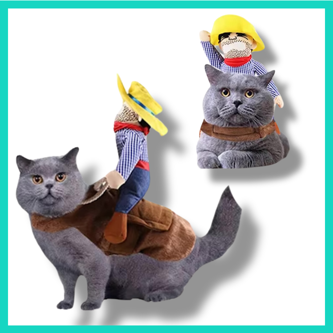 Cowboy - Katzen Halloween Kostum