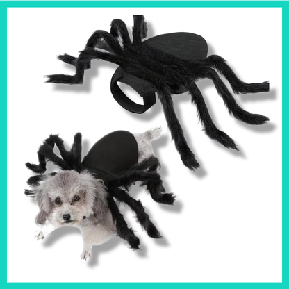 Spinnen Halloween Kostüm für Hunde