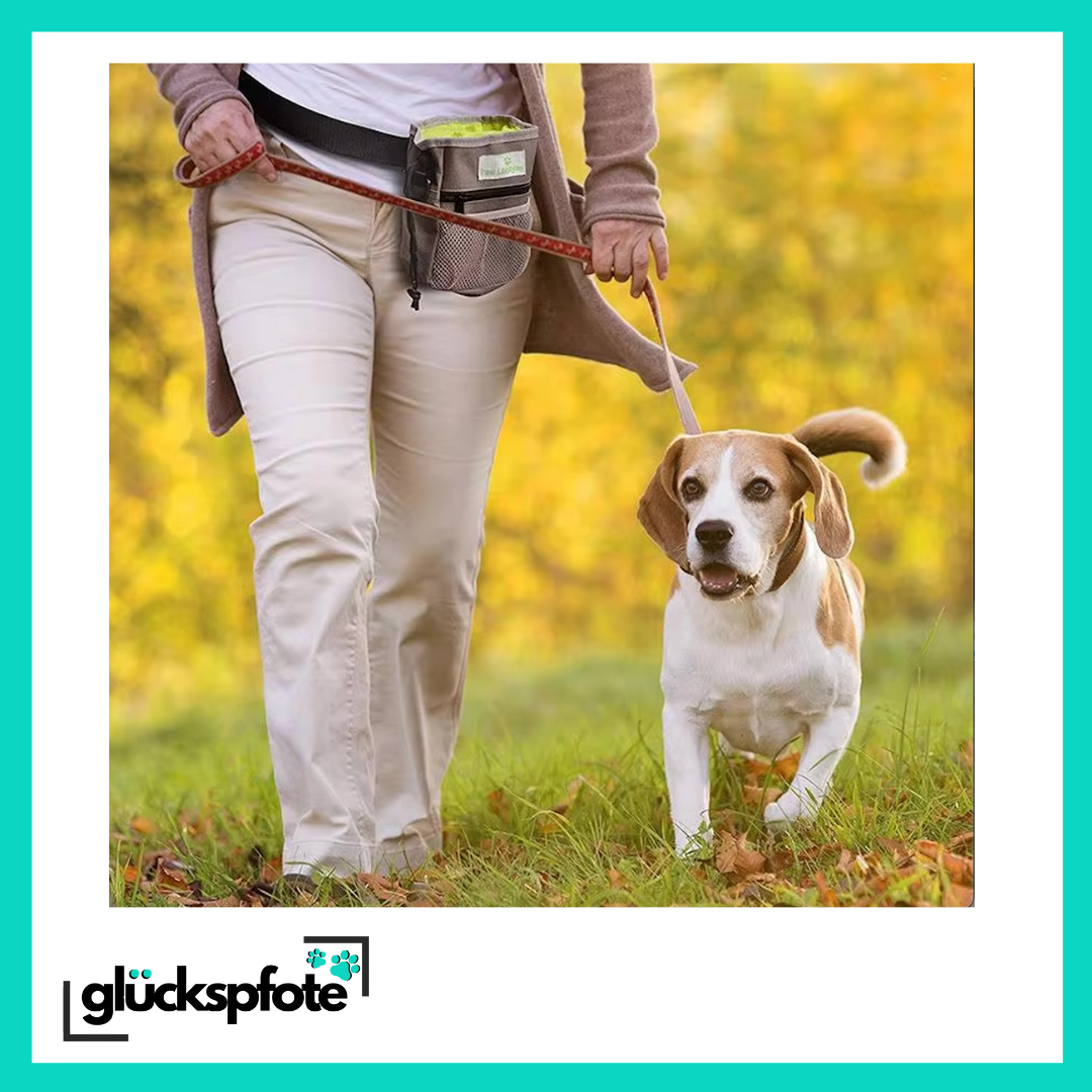 Outdoor Hundetrainings-Tasche