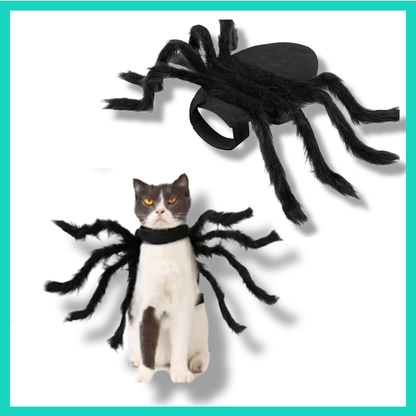 Spinnen Halloween Kostüm für Katzen