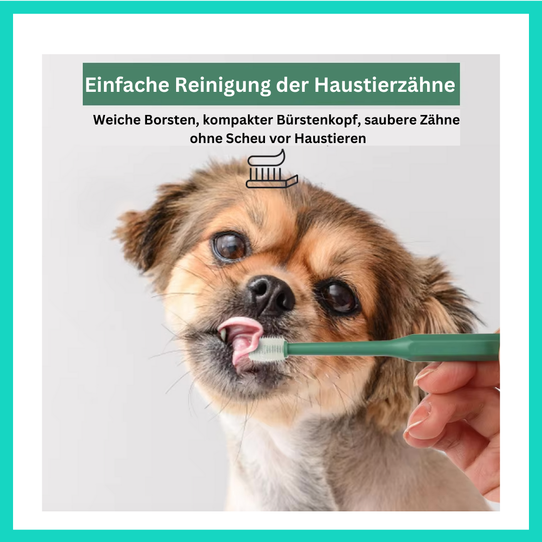 Hunde und Katzen Zahnbürste