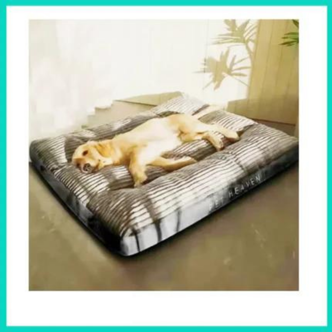 Premium Tiefschlaf Hundebett