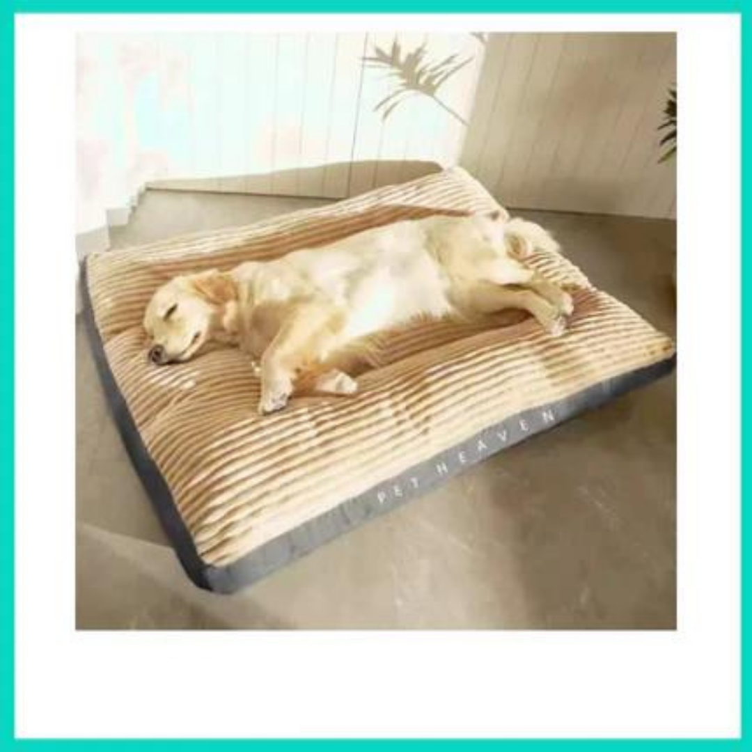 Premium Tiefschlaf Hundebett