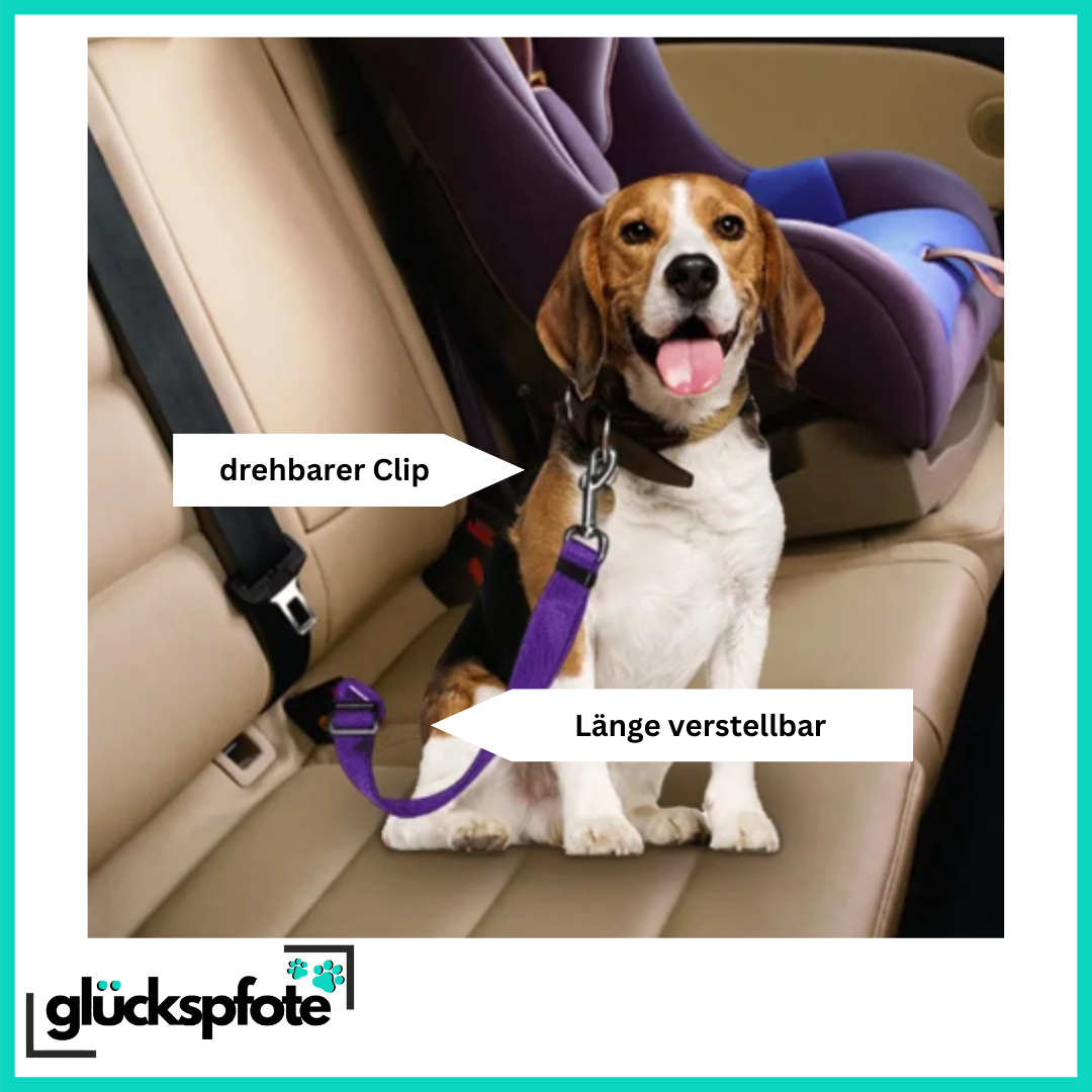 Verstellbarer Auto-Hunde-Gurt