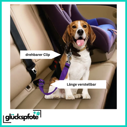 Verstellbarer Auto-Hunde-Gurt