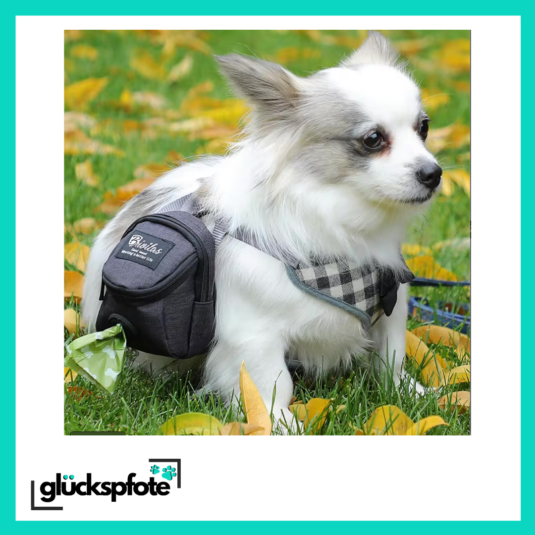 Hunde Gassi Tasche